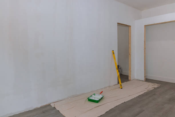 Best Drywall Removal and Disposal  in Grand Marais, MN